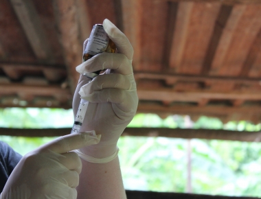 Produtores tem até quinta-feira para se inscrever na Campanha de Vacinação contra a Brucelose