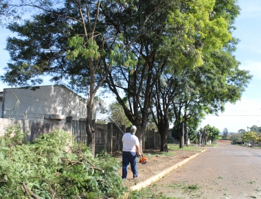 Secretaria de Viação e Obras realizará recolha de galhos na próxima semana