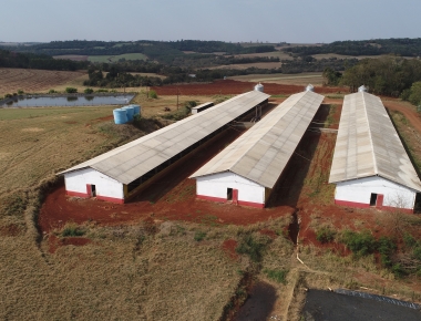 Mercedes ultrapassa R$ 90 mil reais em repasse de subsídios a suinocultores em 2020