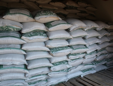 Sementes de aveia vão ser entregues a produtores rurais de Mercedes nesta quinta-feira