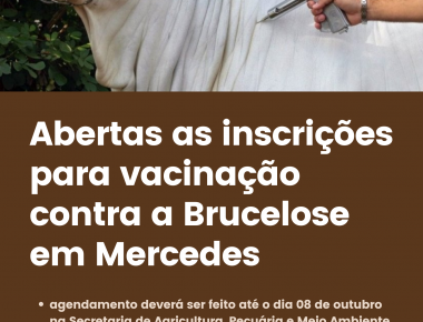 Abertas as inscrições para vacinação contra a Brucelose em Mercedes