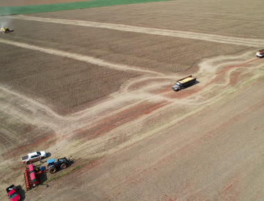 Agricultores de Mercedes aproveitam o tempo bom e intensificam a colheita da soja e o plantio do milho