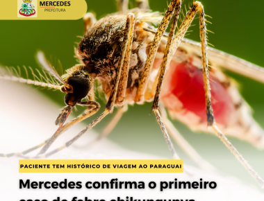 Mercedes confirma o primeiro caso de febre chikungunya