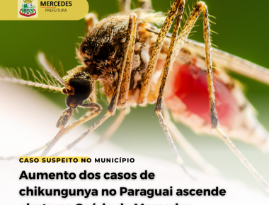 Aumento dos casos de chikungunya no Paraguai ascende alerta na Saúde de Mercedes