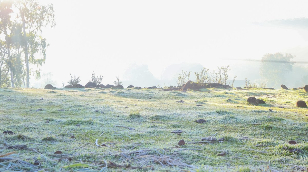 Frio intenso e geada transformam a paisagem